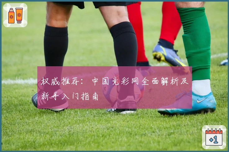 权威推荐：中国竞彩网全面解析及新手入门指南