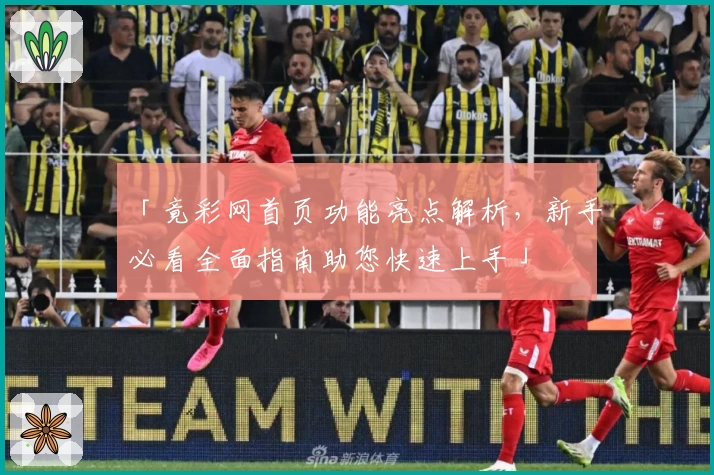 「竟彩网首页功能亮点解析，新手必看全面指南助您快速上手」